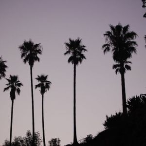 Meet your Posher, Moses